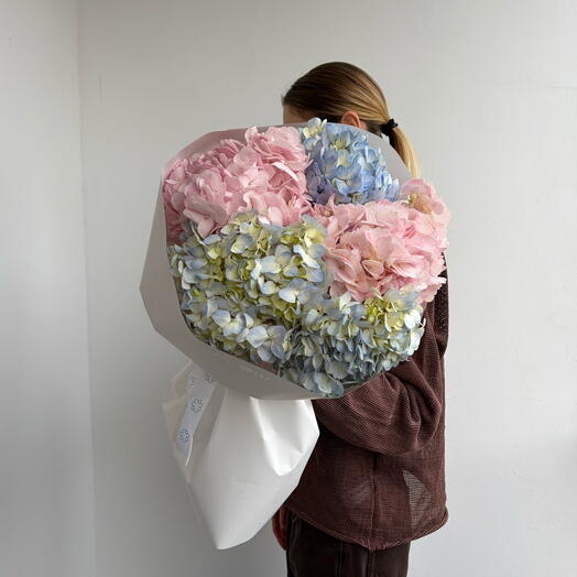Hydrangea Mix S