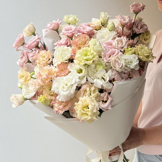 Eustoma 31