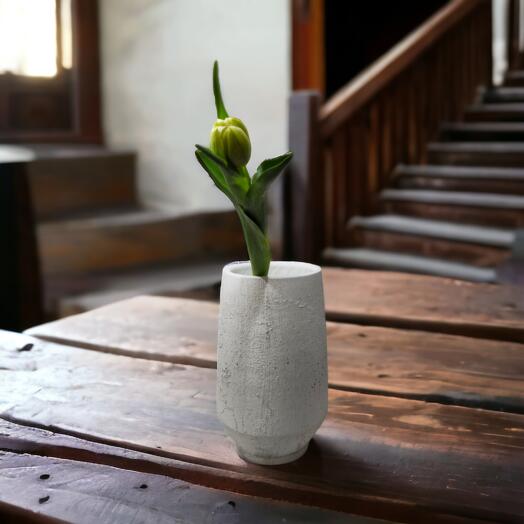 Tulips Mixed colours, price per piece