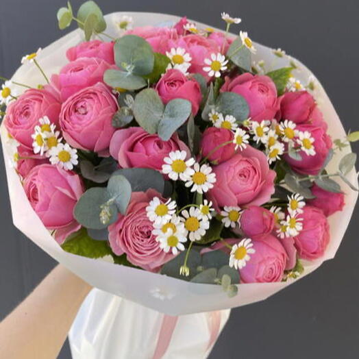 Delicate Rose