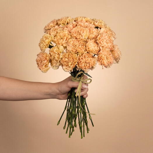 25 Caramel carnation