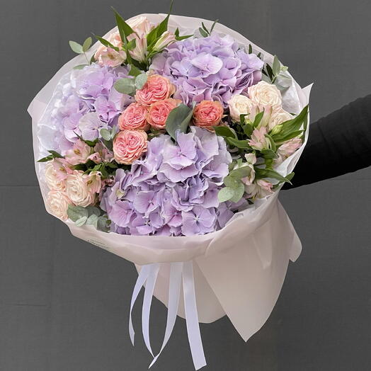 Hydrangea