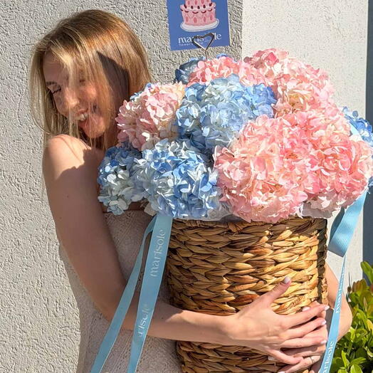 Cloud 9 - Colorful Hydrangea Basket (Size S)