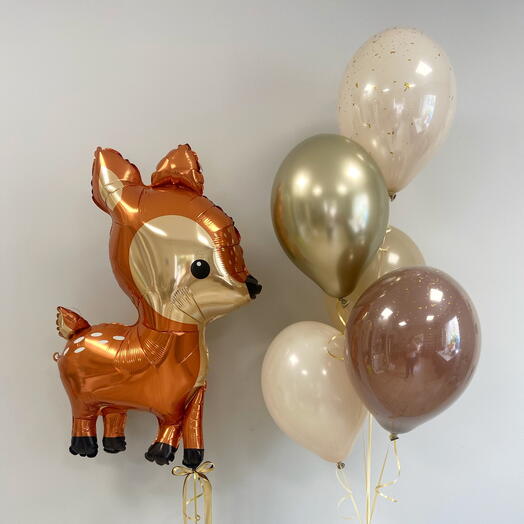 Balloon set JELONEK