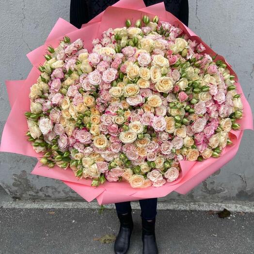 101 spray roses