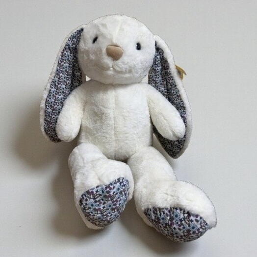 Big rabbit