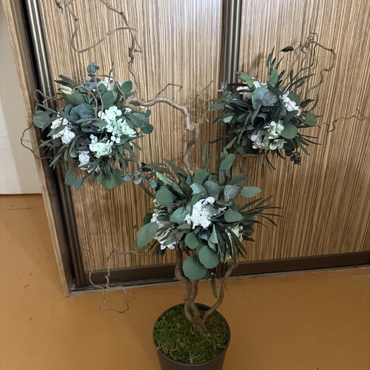 Stabilized tree: eucalyptus and hydrangea