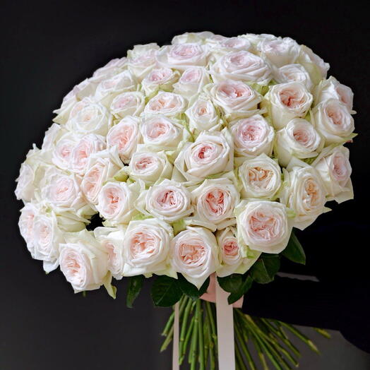 55 fragrant peony-shaped roses