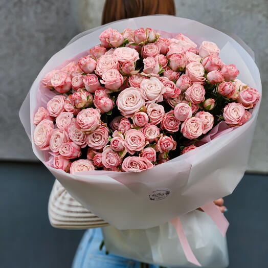 Powder Pink Dream