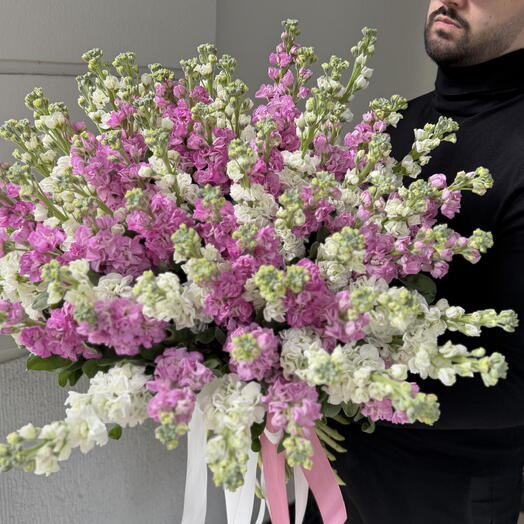 Stock flowers