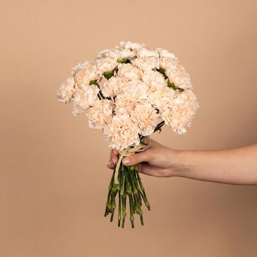 Bouquet of Beige Carnations - 25 pcs