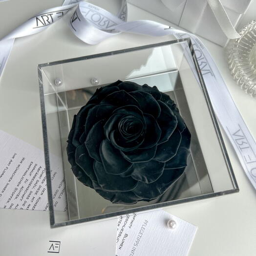 Eternal black rose in an acrylic frame.