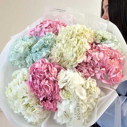 Hydrangea mix