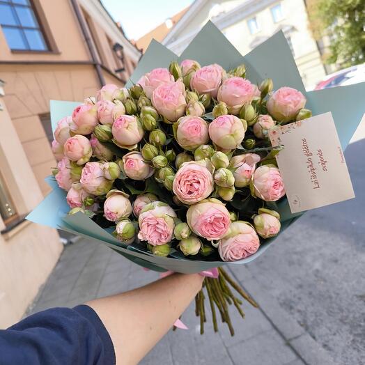 Peony roses