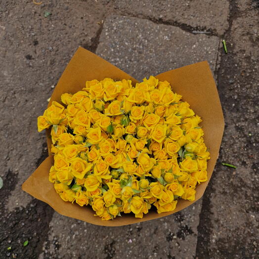 Yellow bush roses