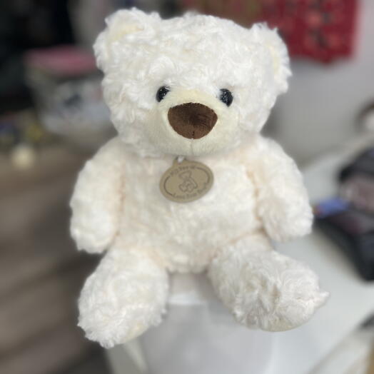 Plush Teddy Bear 🐻(size S)