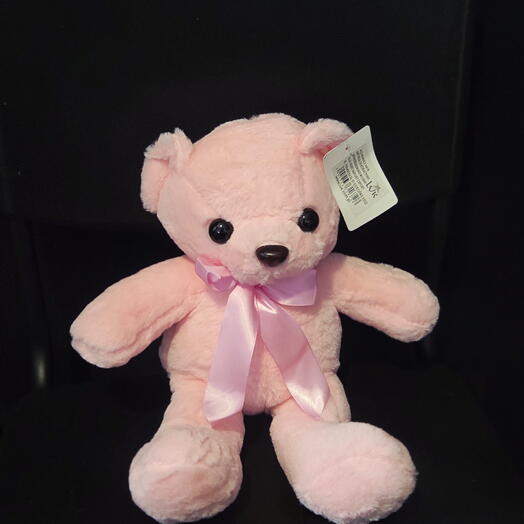 Small pink plush teddy bear