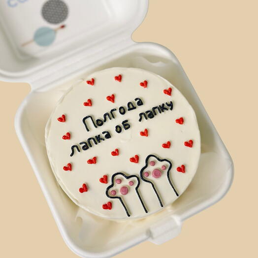 Bento cake Paws