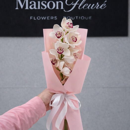 White Cymbidium orchid