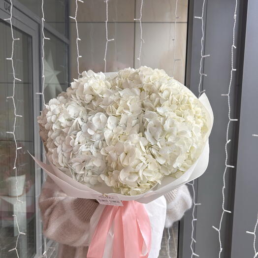 White hydrangea