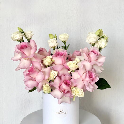 Candy Blossom