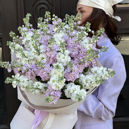 Fragrant Matthiola