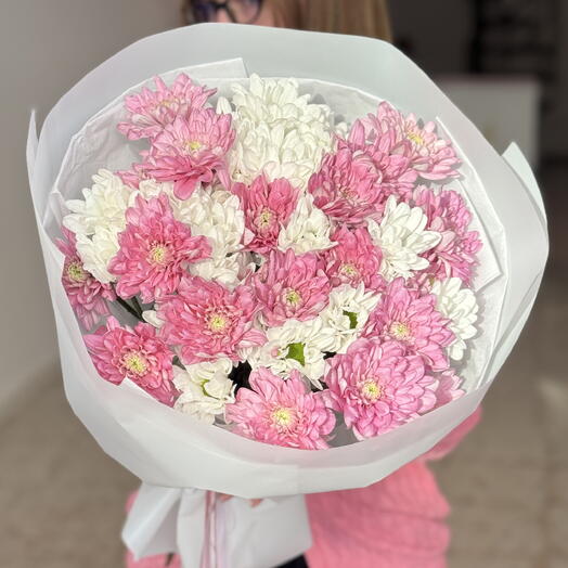 Chrysanthemum Mix
