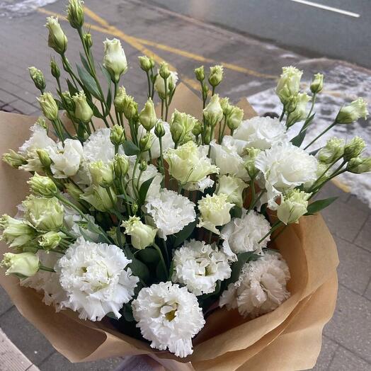 Lysianthus