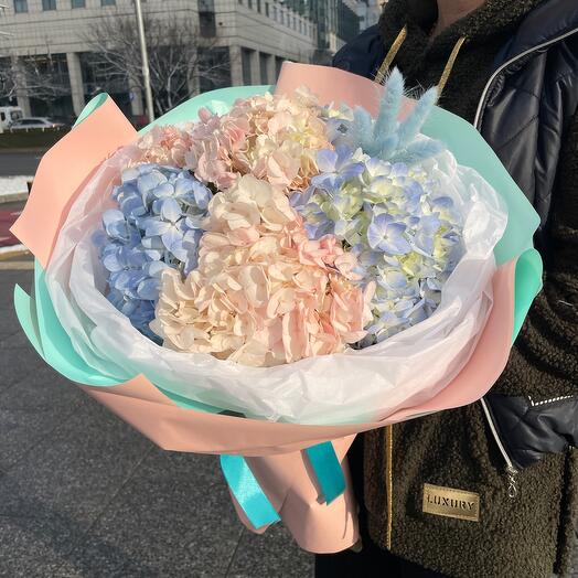7 hydrangeas