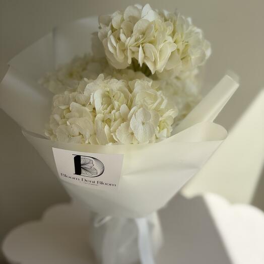 5 White hydrangeas