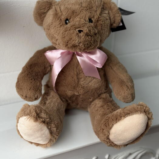 Teddy bear