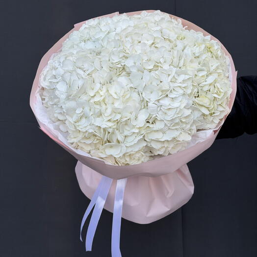 White Hydrangea