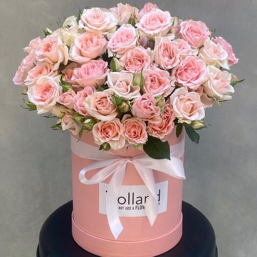 Tenderness In A Box: Pink