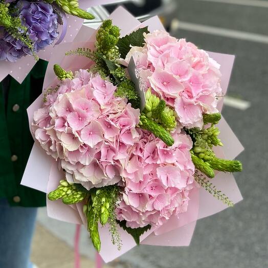 Hydrangea Magic
