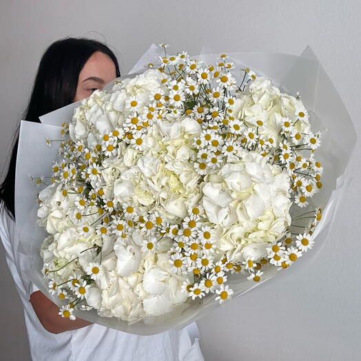 Hydrangea and chamomile