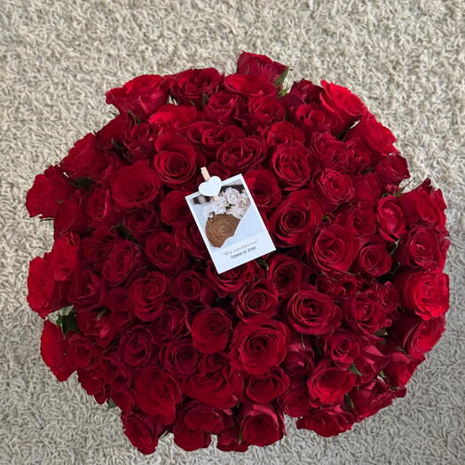 Kenia 100 red 🌹