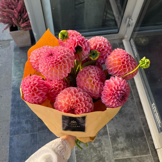 Dahlias N1