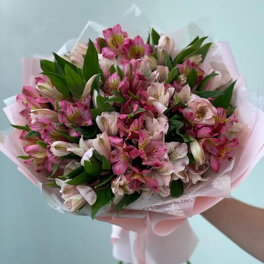Pink Plumette
