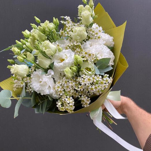 1038 Delicate Eustoma