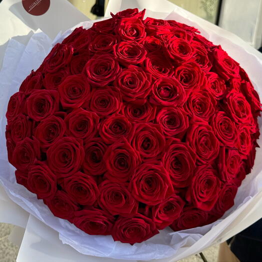 100 roses, 80 cm