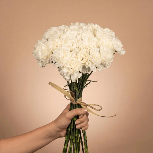 Bouquet of White Carnations - 25 stems