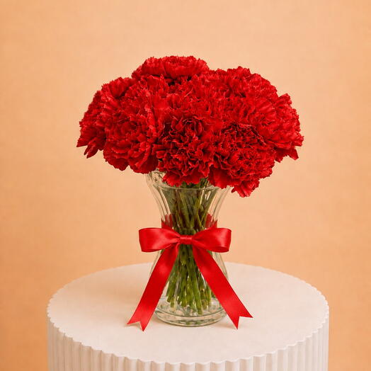 Lovely Red Carnations