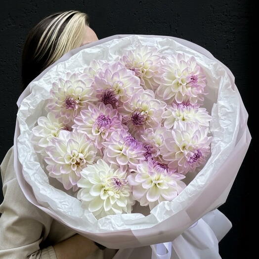 💜 Gentle Cloud: 15 Premium White Lilac Dahlias