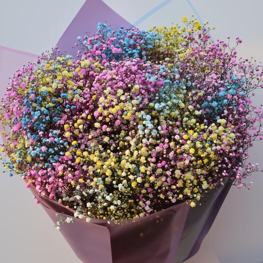 Bouquet "Colorful gypsholina"