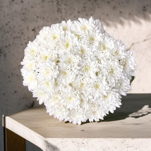 The Bouquet "White Chrysanthemums", 31 stems of flowers, -30%