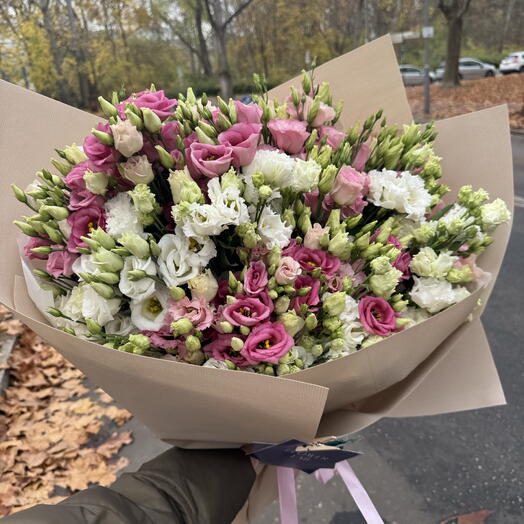 Eustoma mix