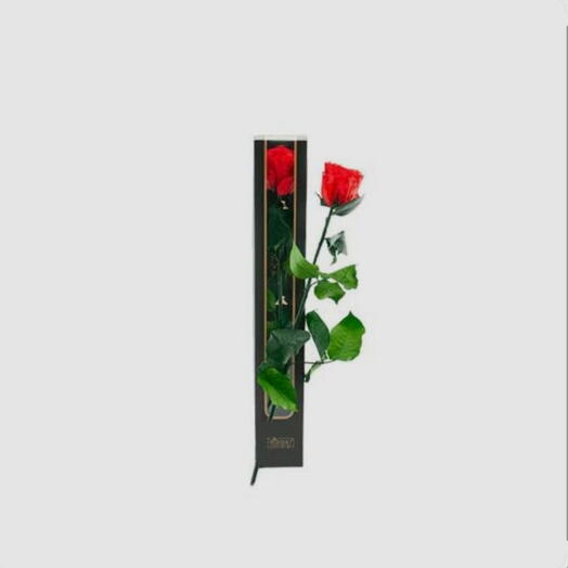 Rosa ETERNA Preservada Box 10 Anos