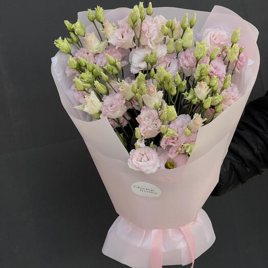 Eustoma 7