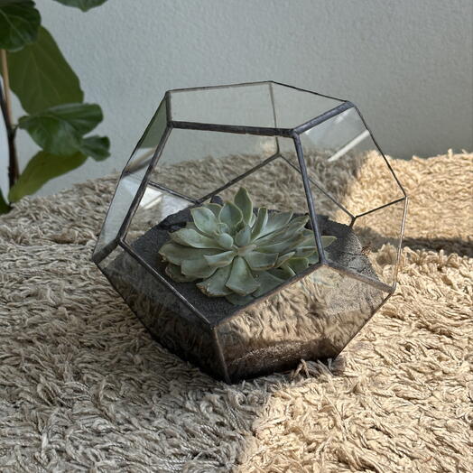 Florarium 40