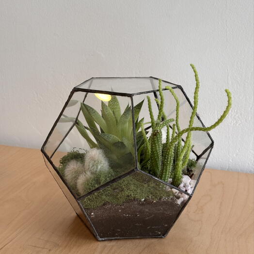 Florarium 42